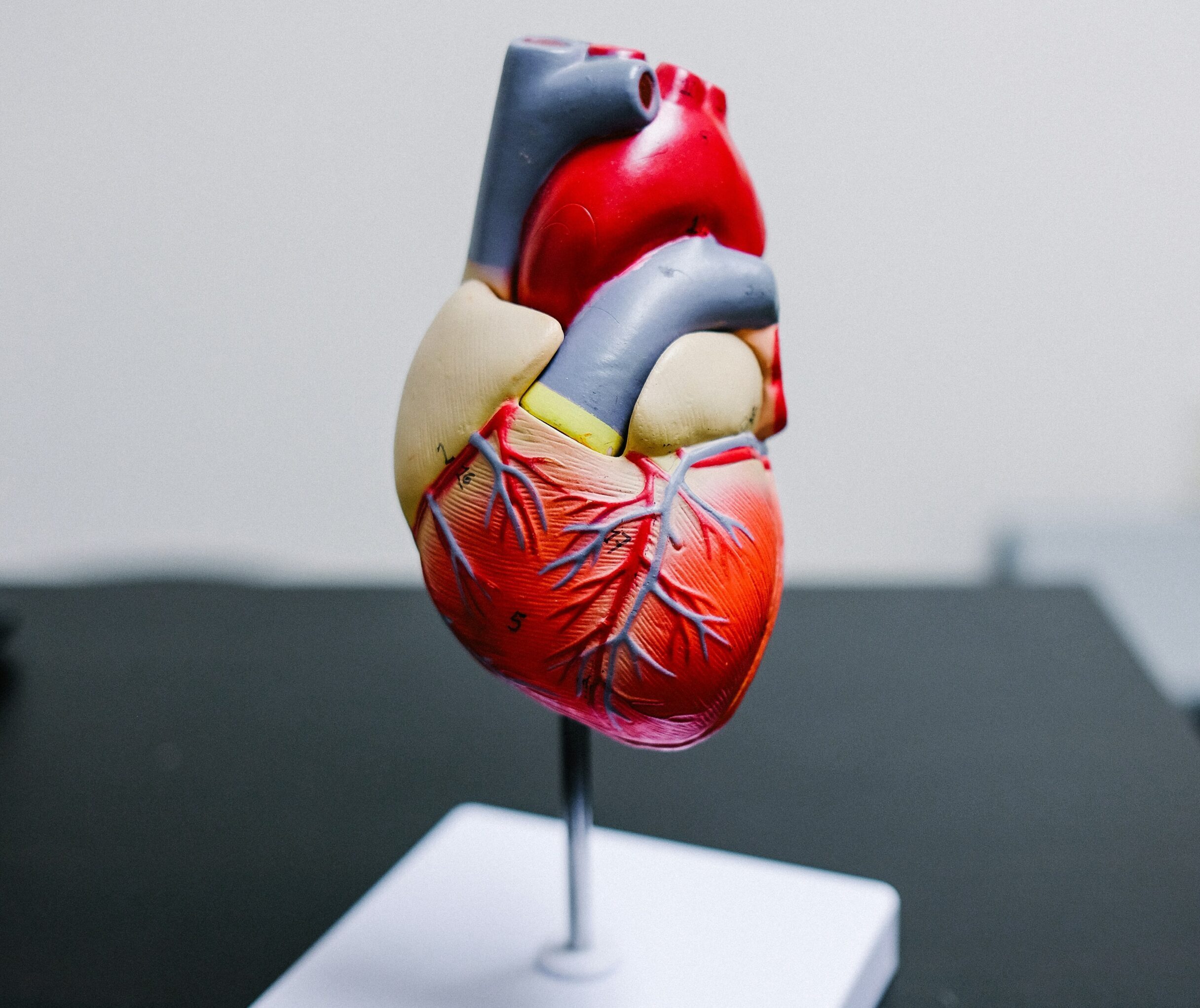 Vascular ED